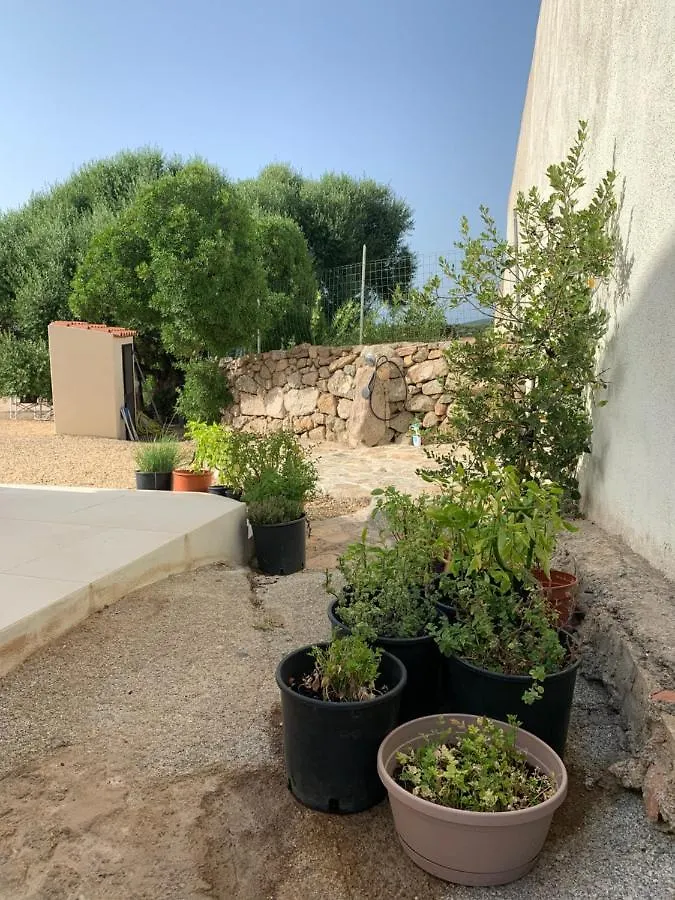 Gospodarstwo wiejskie Pensjonat Stazzu Nuraghe Mannucciu Rena Majore